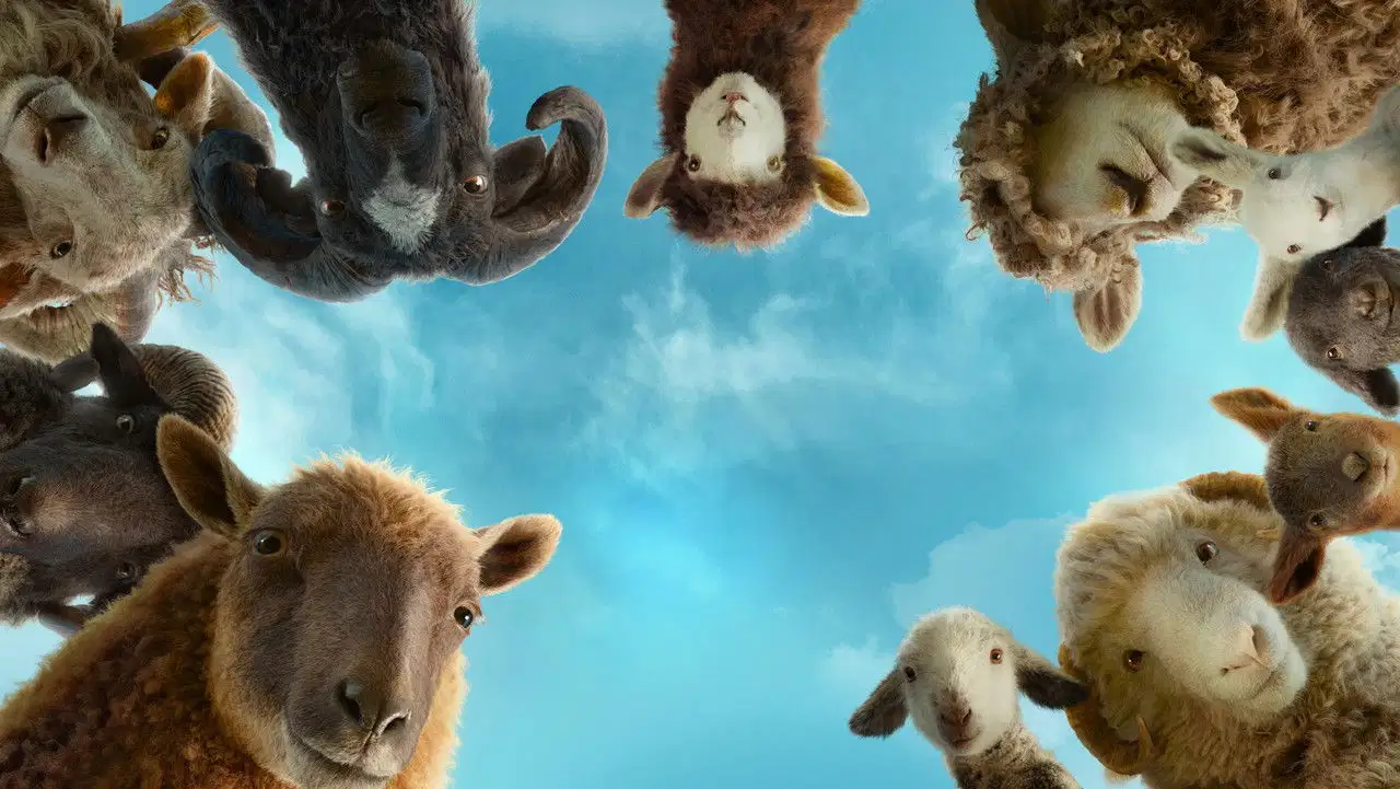 Sprawiedliwość owiec